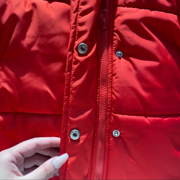 Red puffer - Picture 3 of 4